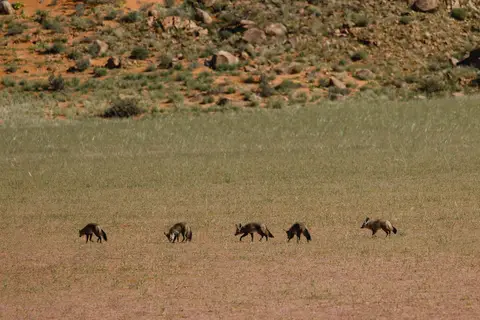 292-Namibia2026.jpg