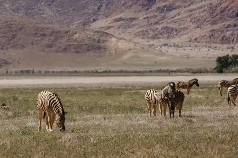294-Namibia2026.jpg
