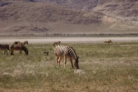 295-Namibia2026.jpg