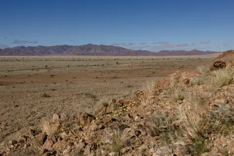 306-Namibia2026.jpg