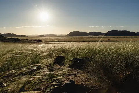 321-Namibia2026.jpg