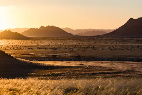 337-Namibia2026.jpg