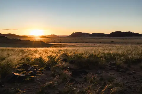 338-Namibia2026.jpg