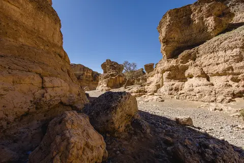 345-Namibia2026.jpg