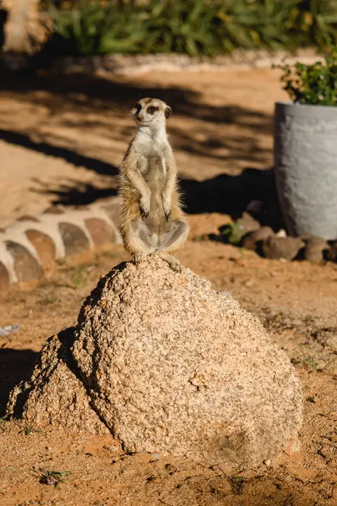 367-Namibia2026.jpg