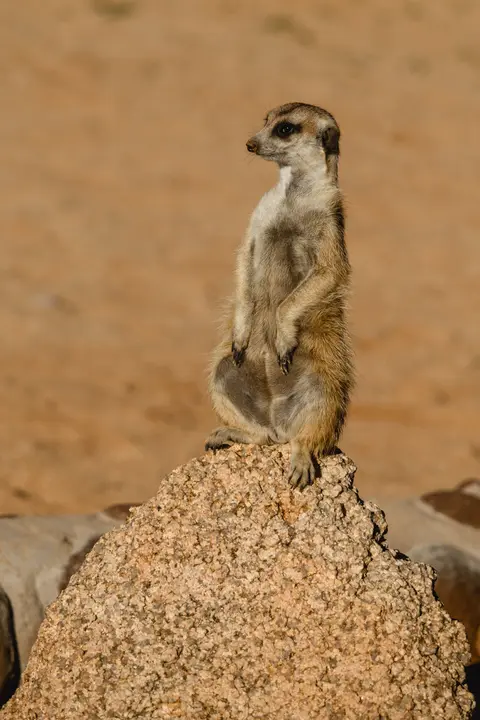 368-Namibia2026.jpg