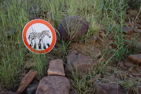 380-Namibia2026.jpg