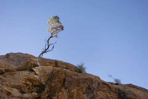 381-Namibia2026.jpg