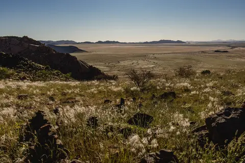 386-Namibia2026.jpg