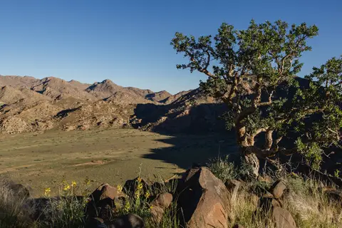 389-Namibia2026.jpg