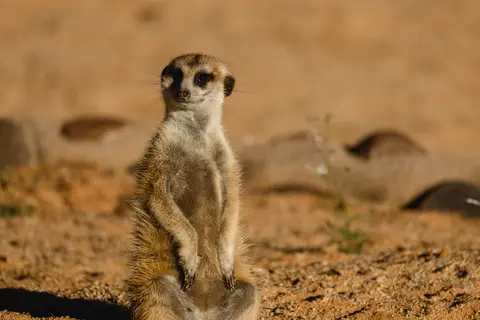 398-Namibia2026.jpg