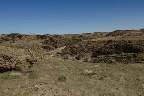 403-Namibia2026.jpg