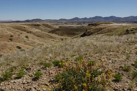 406-Namibia2026.jpg