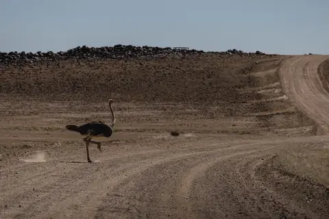 415-Namibia2026.jpg