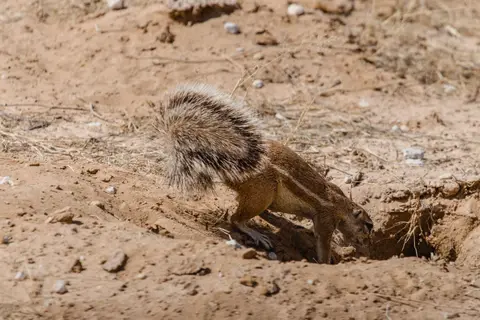 Namibia-112.jpg