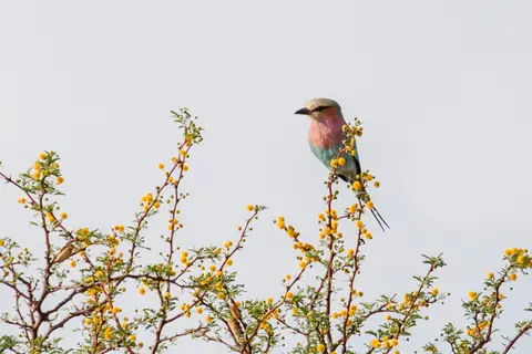 Namibia-16.jpg