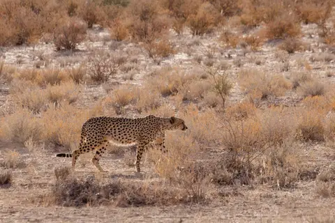 Namibia-97.jpg