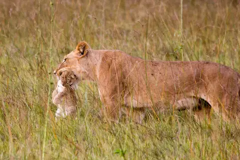 h1416247_2014-10-04.jpg