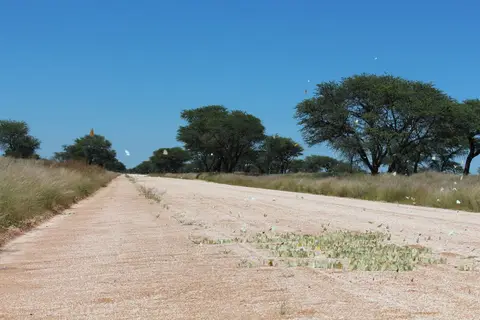 h7830816.JPG