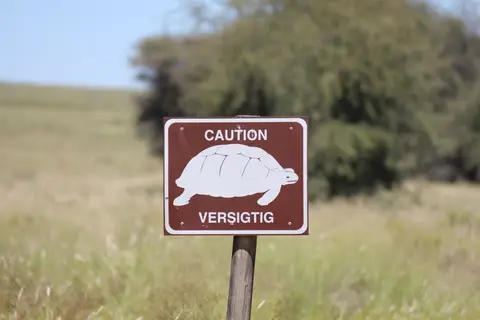 h9d789fe.JPG