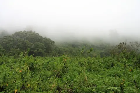 h98f2214.jpg
