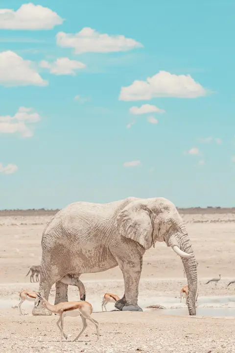 2017_11_namibia-2568.jpg