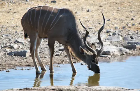 13-2.jpeg