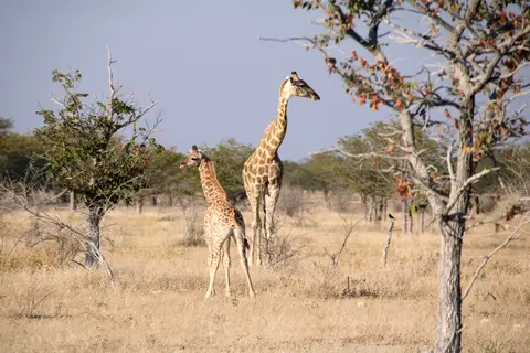 2-2-3-4.jpeg