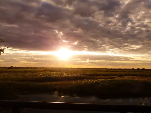 20170618_172141.jpeg