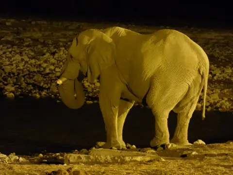 51.jpeg