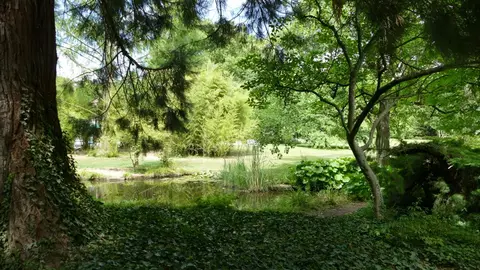 P1790463.JPG