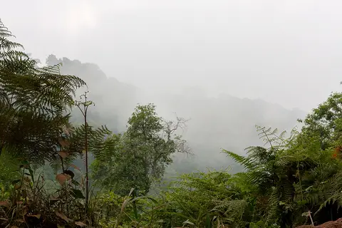 IMG_9750.jpg