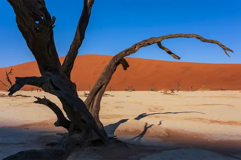 _DSC6672_Deadvlei_2015_CS6_1280.jpg