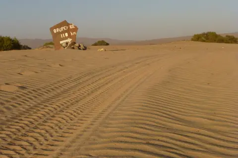 hffd0835.JPG