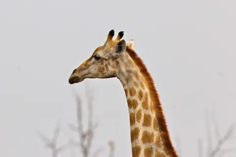 h9bdf222.JPG