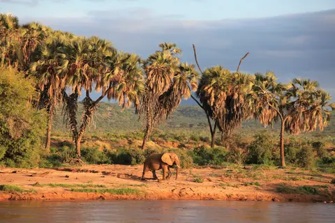 Samburu-3944.jpg
