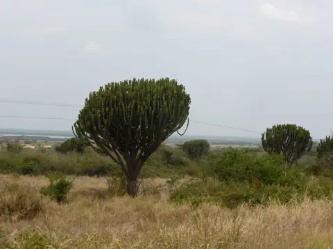 UgaRwa_2017_0116.JPG