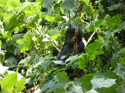 UgaRwa_2017_0386.JPG
