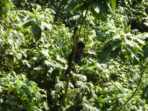 UgaRwa_2017_0389.JPG