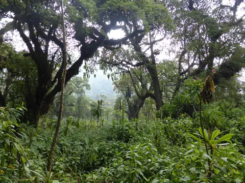 UgaRwa_2017_0561.JPG