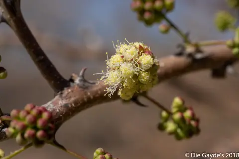 EOS6DMarkII_2018_09_27_2410.jpg