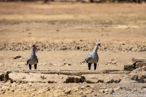 EOS6DMarkII_2018_10_10_7582.jpg