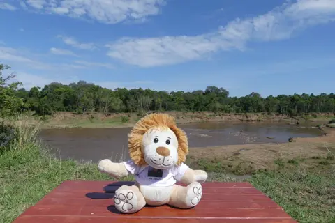 K23_4540.JPG
