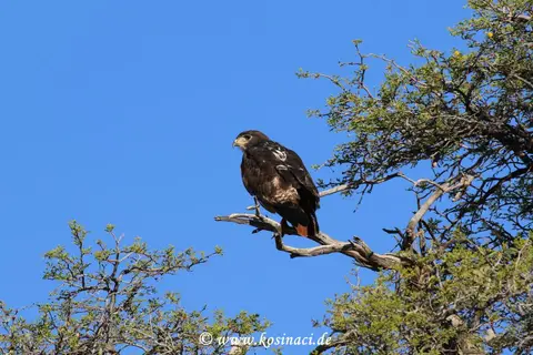 Na16_0778.JPG