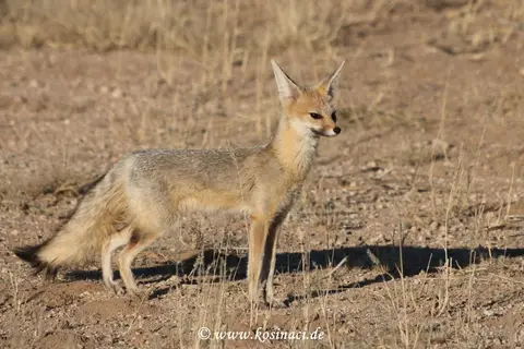 Na16_4152.JPG