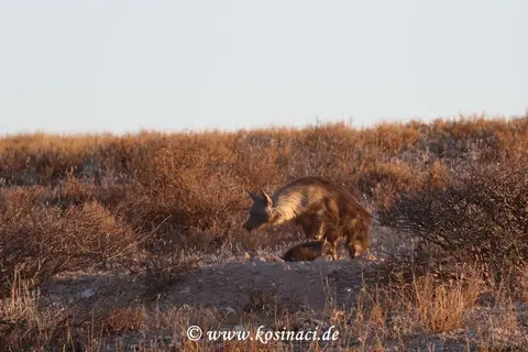 Na16_4257.JPG