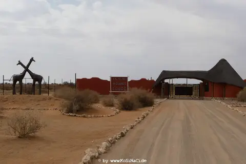Na16_5407.jpg