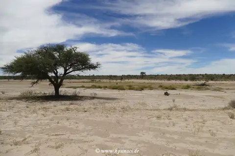 Na19_5442.JPG