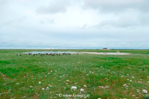 Na22_0392.JPG