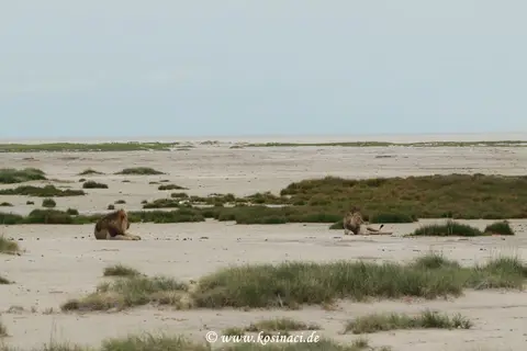 Na22_0432.JPG